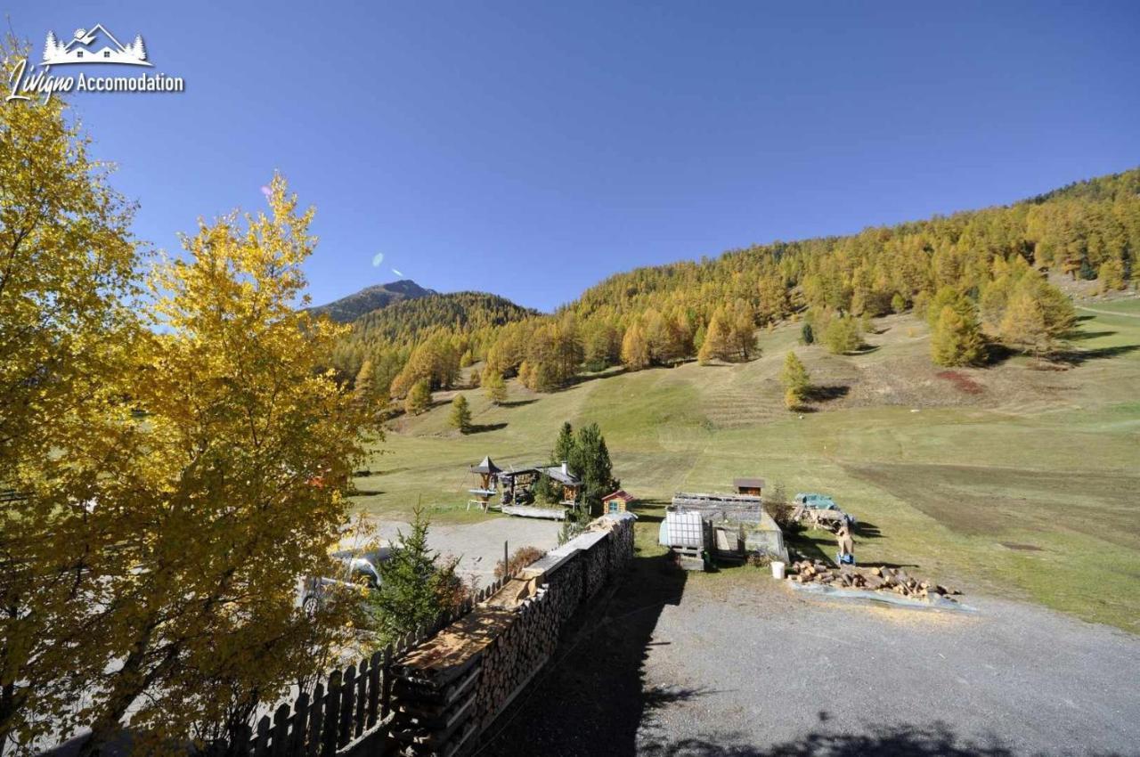 Casa Florin Giumel By Livigno Accomodation מראה חיצוני תמונה
